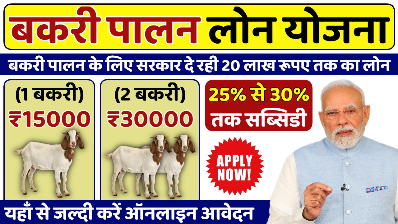 Bakri Palan Loan Yojana 2025