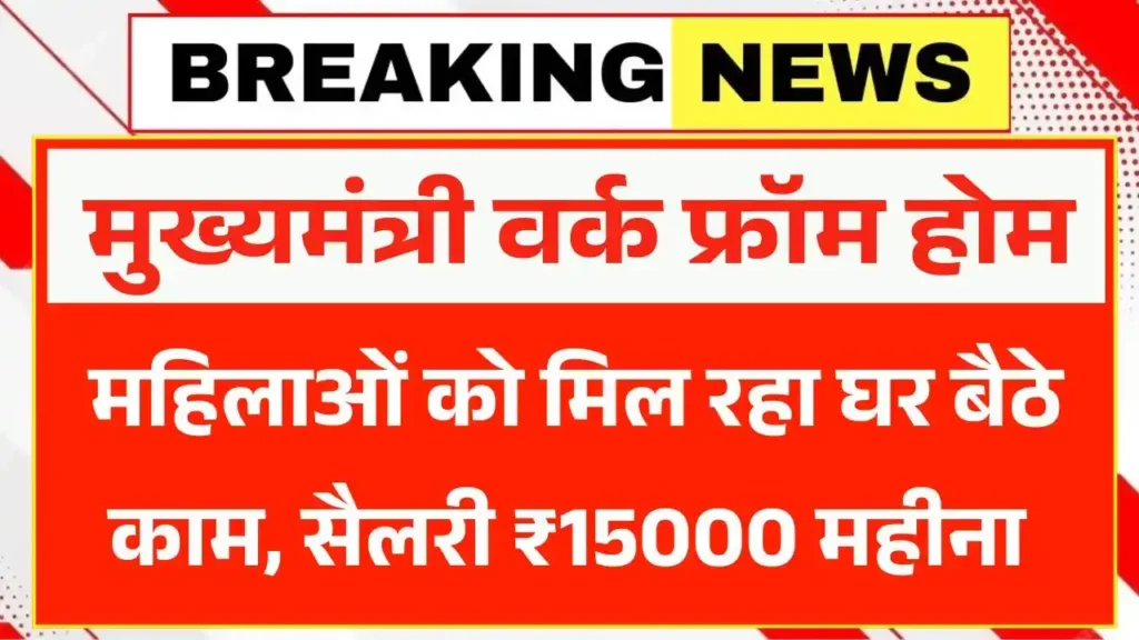 Mukhyamantri Work From Home Yojana